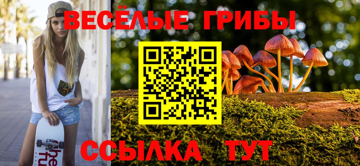 Галлюциногенные грибы мухоморы Мытищи